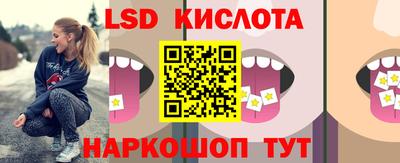 дживик Моздок