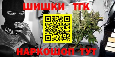 тгк Можга