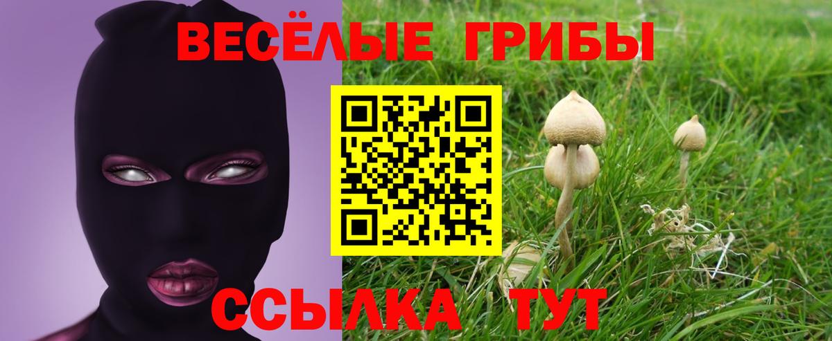 Сибай  Галлюциногенные грибы ЛСД  Вход с VPN 
