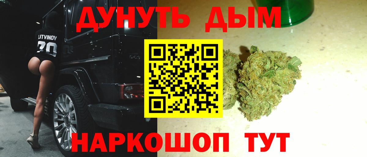 Марихуана сатива Сибай